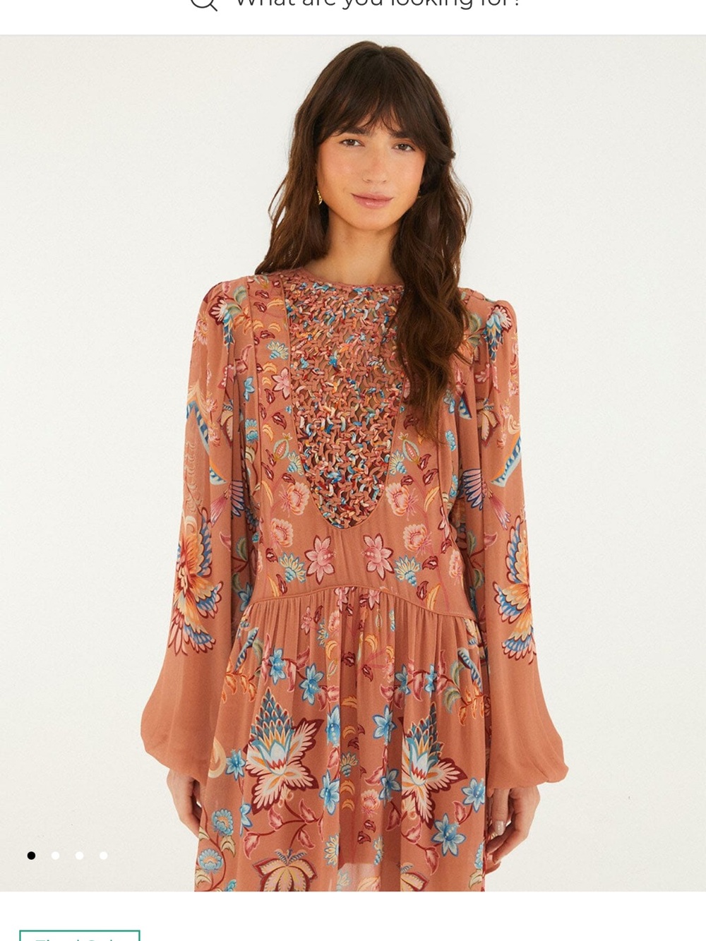 NWT Farm Rio Mocha Boho Enhance Lace Long Sleeve Mini Dress